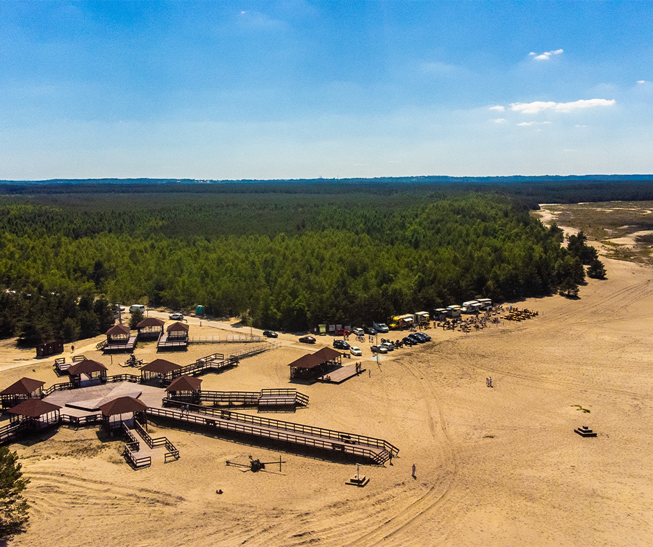 Pomysł na jednodniową wycieczkę - Pustynia Błędowska