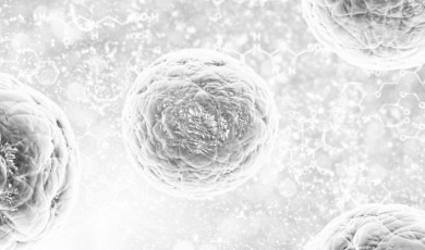 Co wiemy o wirusach?