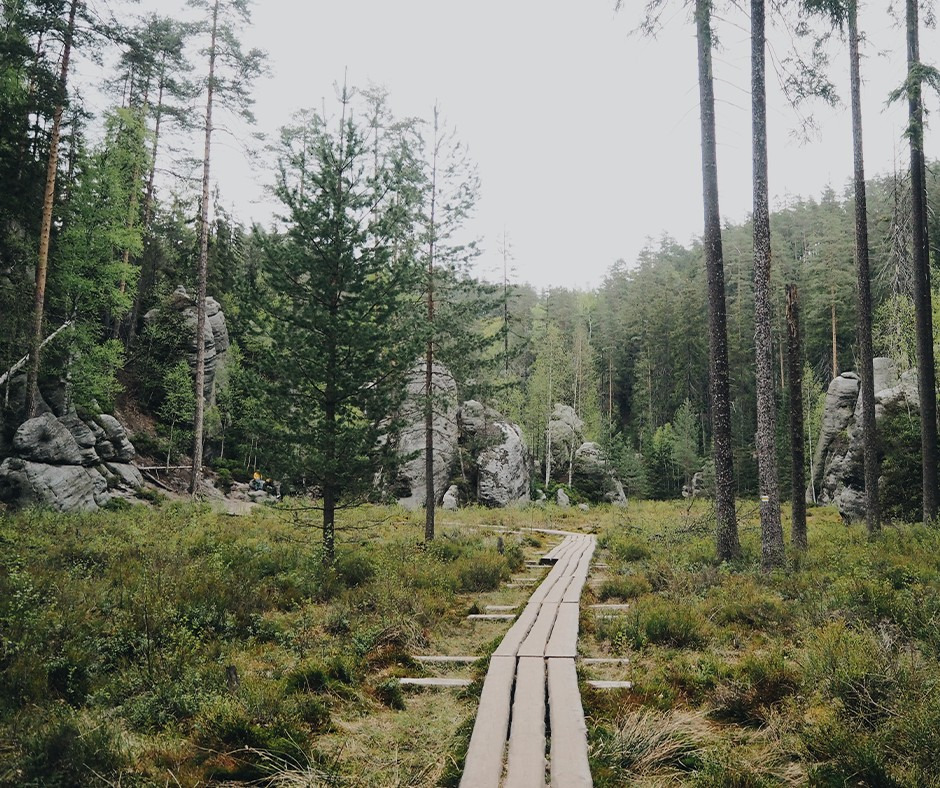 Pomysł na jednodniową wycieczkę - unikatowe Góry Stołowe