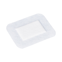 elastopor STERIL Opatrunek włókninowy, z wkładem chłonnym, samoprzylepny, jałowy_8cm x 10cm_A30