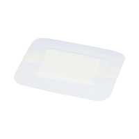 ZARYS Elastopor STERIL - Opatrunek włókninowy samoprzylepny z wkładem chłonnym E - 10 cm x 12 cm - 30 szt.