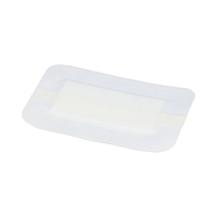elastopor STERIL Opatrunek włókninowy, z wkładem chłonnym, samoprzylepny, jałowy_10cmx15cm_A30